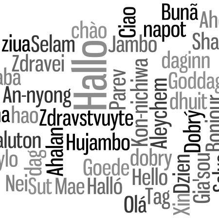 Multi Language